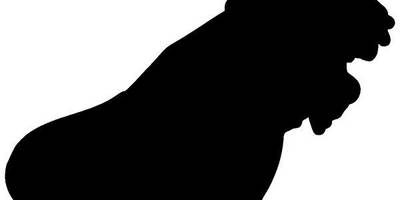 Животные 3105