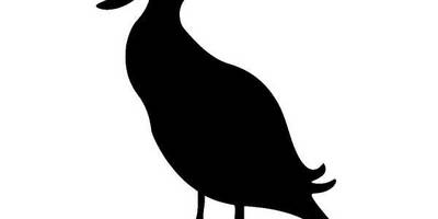 Животные 224