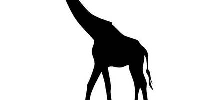 Животные 1247