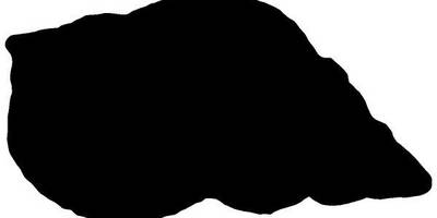 Животные 2252