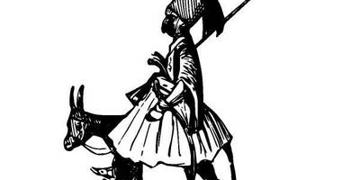 Животные 1248