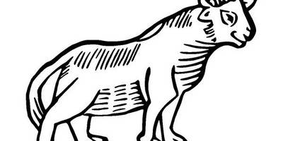 Животные 2925