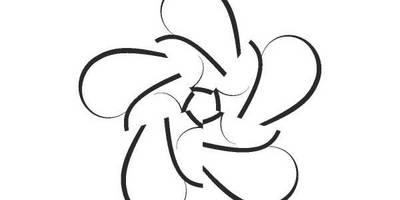 Орнамент цветы 178