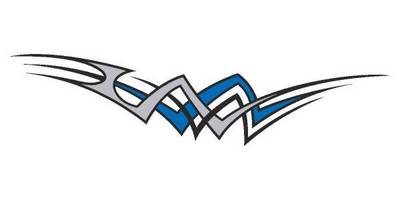 Виниловая наклейка на авто 329