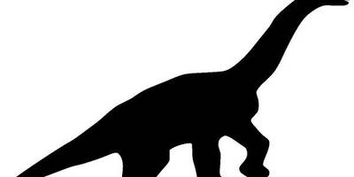 Животные 1989