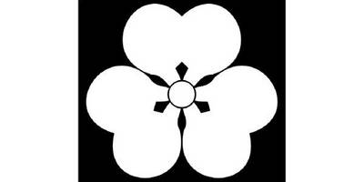 Японский узор 2883