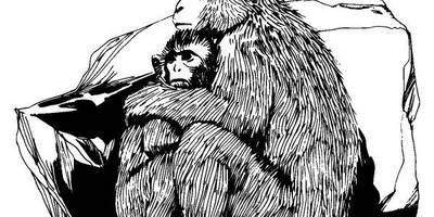 Животные 1061