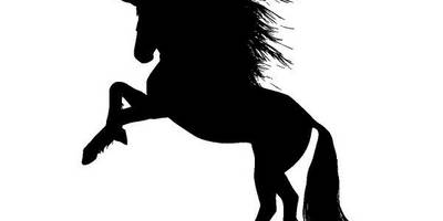 Животные 4021