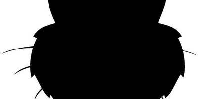 Животные 167