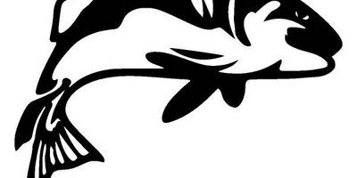 Животные 3677