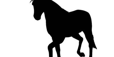 Животные 3200