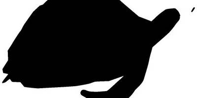 Животные 3816