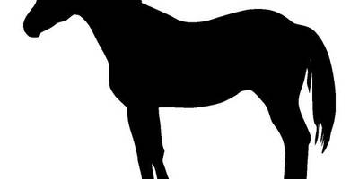 Животные 2365