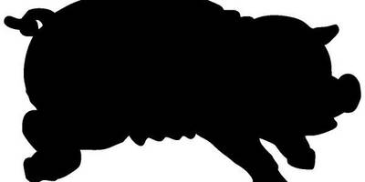 Животные 1791