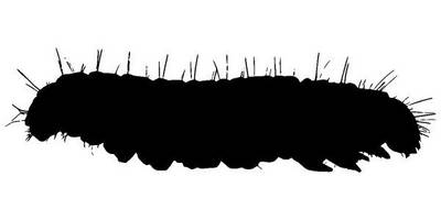 Животные 2724