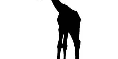 Животные 122