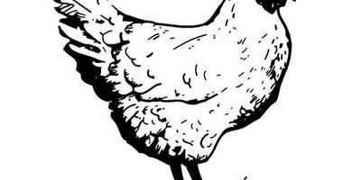 Животные 107