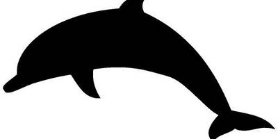 Животные 3718