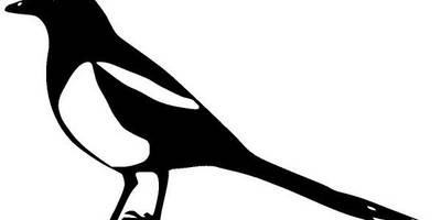 Животные 1281