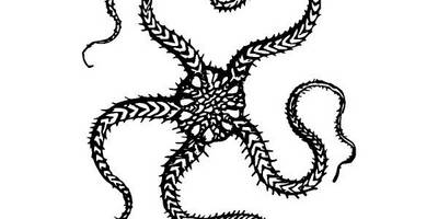 Животные 2847