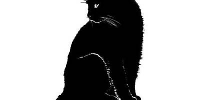 Животные 4025