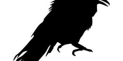 Животные 3703