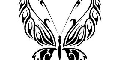 Животные 2571