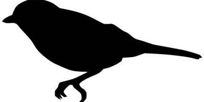 Животные 987