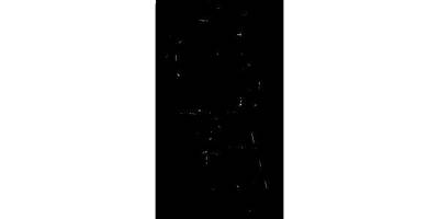 Животные 2390