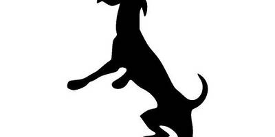 Животные 3998