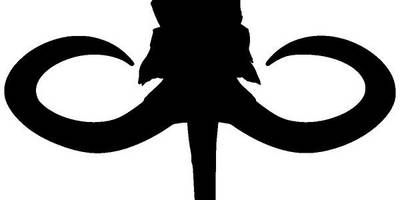 Животные 1337