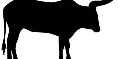 Животные 4241