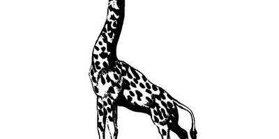 Животные 2814