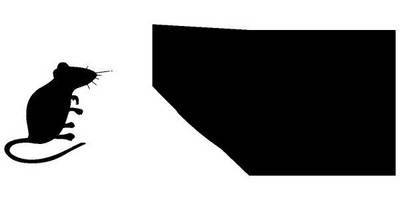 Животные 4159