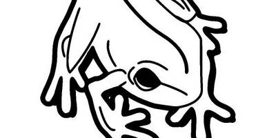 Животные 3108