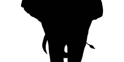 Животные 2487