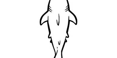 Животные 1148