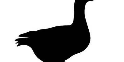 Животные 3596