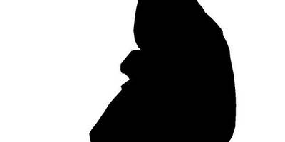 Животные 467