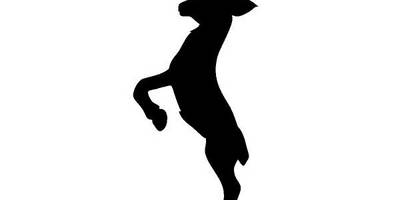 Животные 273