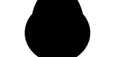 Животные 1562