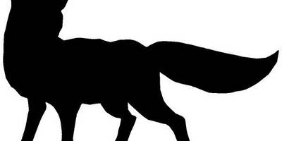 Животные 427