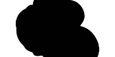 Животные 3992