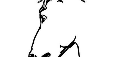 Животные 1290