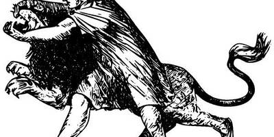 Животные 2627