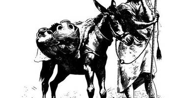 Животные 3890