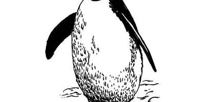 Животные 542