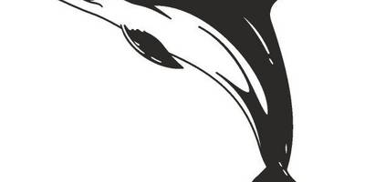 Татуировка 781