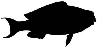 Животные 2903