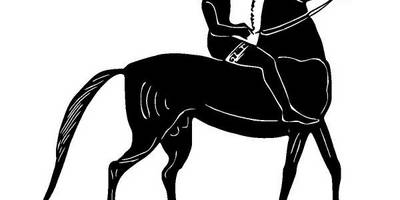 Животные 3907